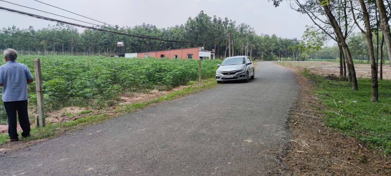 Đất nền Hòa Đông A, Tân Biên 96.000m² giá 2.5 tỷ - Cơ hội đầu tư hiếm có!