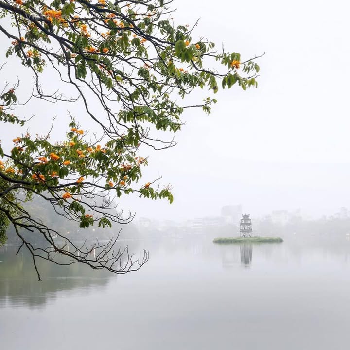 Đất nền Ngũ Hành Sơn Đà Nẵng 125m² giá 8,5 tỷ - Chính chủ, gần biển