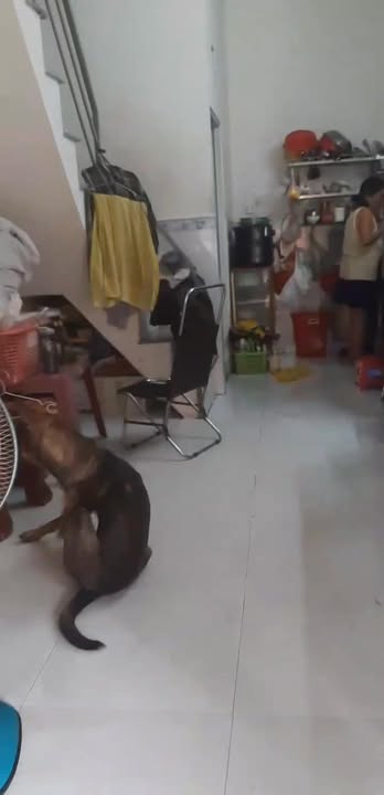 Nhà phố Vĩnh Lộc A Bình Chánh 17m² giá 600 triệu - Khu dân cư hiện hữu