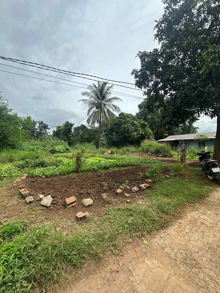 Lô đất đẹp Ea Drăng, Ea H’Leo 200m² giá 799 triệu - Sổ đỏ chính chủ, pháp lý sạch!