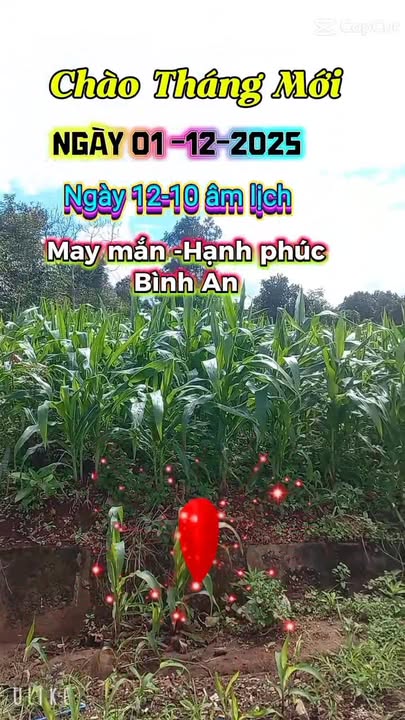 Đất thổ cư tại thôn 4, xã Ea Ral, Đắk Lắk 470m² giá 1.79 tỷ - Gần Quốc Lộ 14!