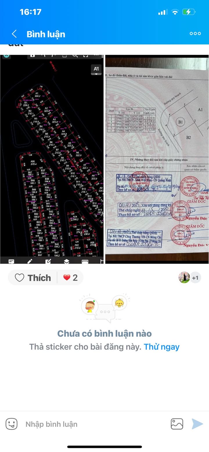 Đất nền KĐT Phượng Hoàng Móng Cái 436m² giá chỉ 2x triệu/m² - Cơ hội đầu tư hiếm có!