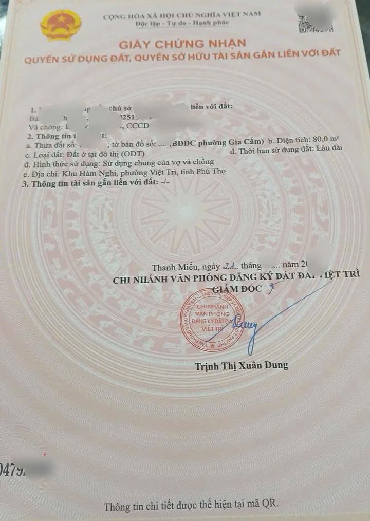 Đất nền Hàm Nghi, Gia Cẩm, Việt Trì 80m² giá 3 tỷ - Vị trí vàng cho đầu tư!