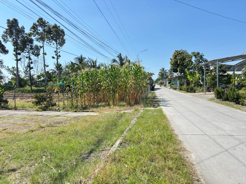 Đất vườn Thạnh Lộc 1000m² giá 790 triệu - Mặt tiền Kinh Đòn Dong