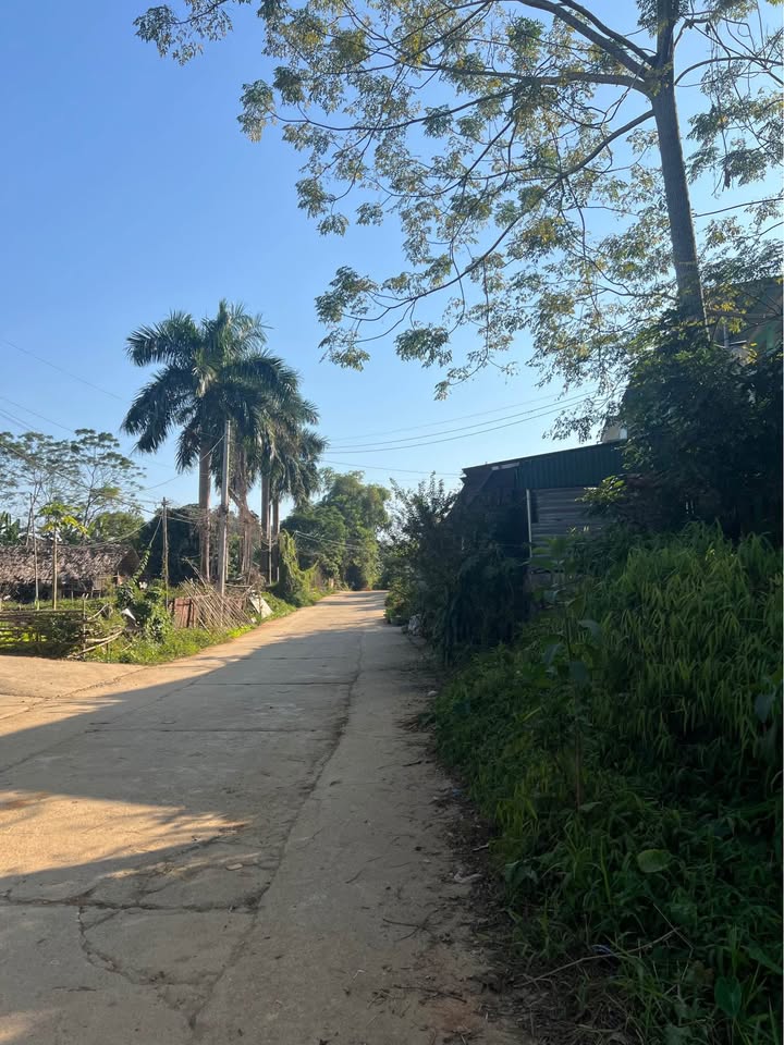 Đất thổ cư Hưng Thành, Tuyên Quang 280m² giá 3.2 tỷ - Đường rộng, an ninh tốt!