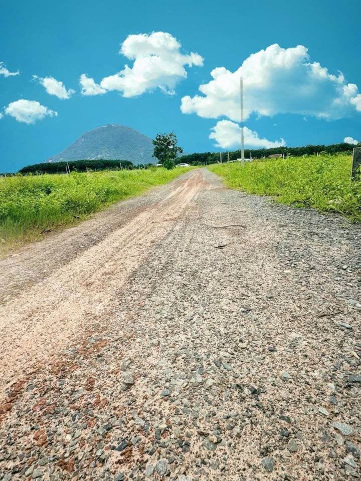 Đất Ninh Thạnh, Tây Ninh 140m² giá 335 triệu - View Núi Bà tuyệt đẹp!