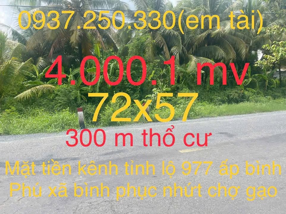 Đất nền mặt tiền tỉnh lộ 877, xã An Thạnh Thủy, 4000m² - Cơ hội đầu tư tuyệt vời!