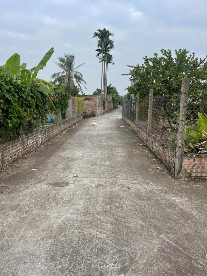 Đất nền Thụy Văn Thái Thụy 75m² giá 700 triệu - Đất vuông vắn, ô tô vào tận nơi!