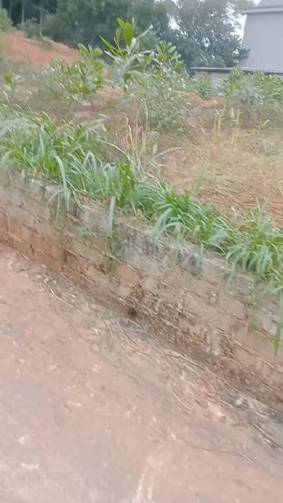 Đất thổ cư An Dương 131m² giá thỏa thuận - Cơ hội đầu tư tuyệt vời!