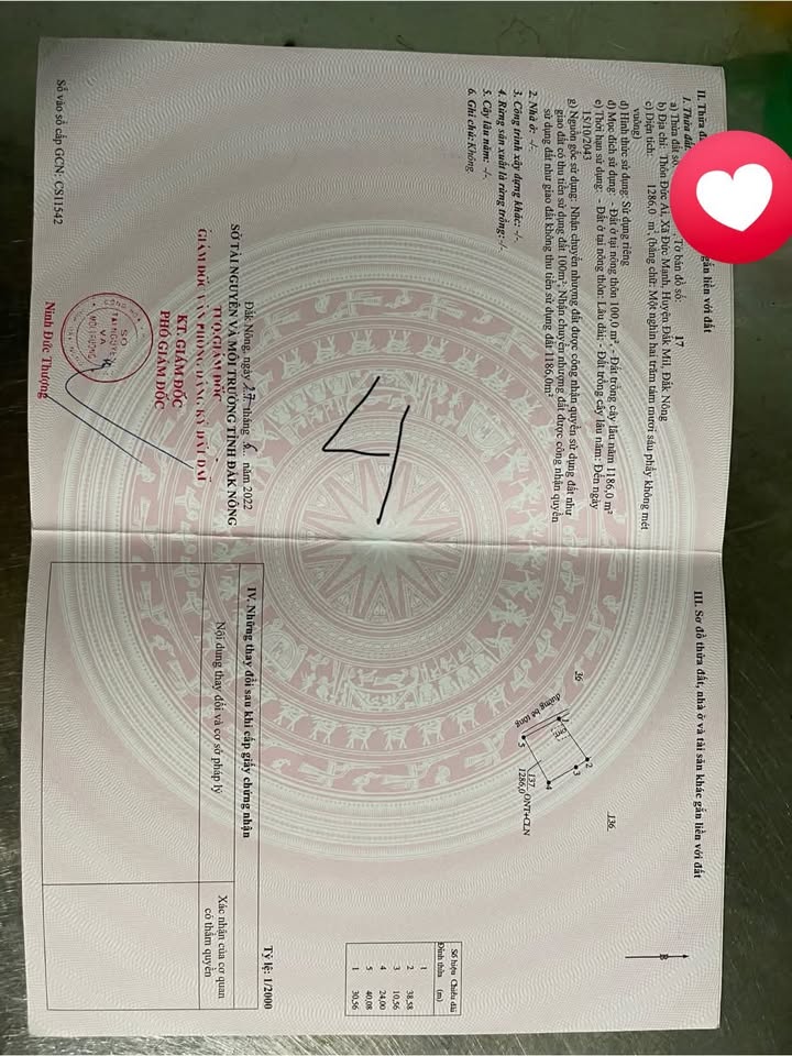 Đất thổ cư 1200m² tại Đức Mạnh, Đắk Mil - Giá chỉ 1.2 tỷ, nở hậu!