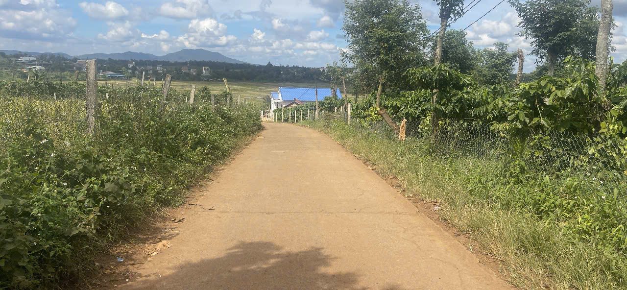 Đất nền Thôn Đức Hoà, Thuận An 1260m² giá 124.95 tỷ - Đầu tư sinh lời ngay!