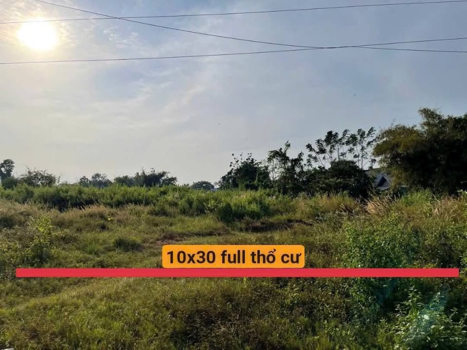 Đất nền Gò Dầu 150m² giá 530 triệu - Cơ hội đầu tư hấp dẫn!