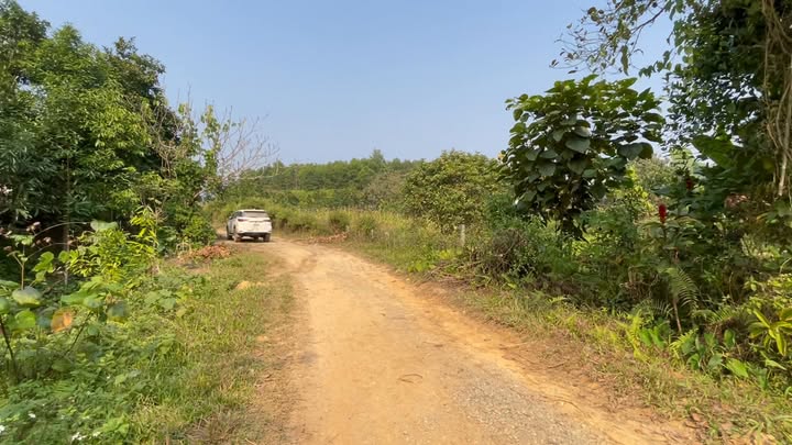 Đất nền Xuân Thủy, Yên Lập 630m² giá 700 triệu - View hồ tuyệt đẹp!