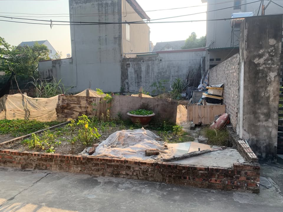 Đất nền Mai Đình 65m² giá 3 tỷ - Ngõ thông, đầu tư sinh lời!