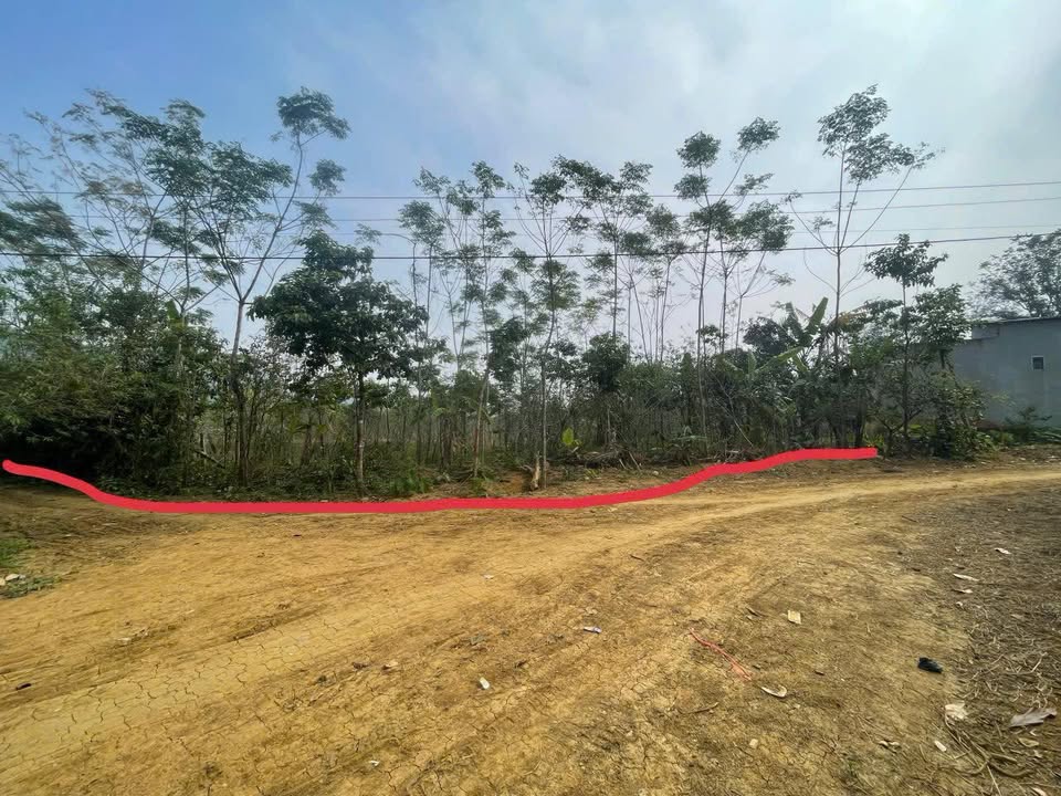 Đất lô góc thổ cư 1500m² tại Mường Động, Phú Thọ - Giá chỉ 1,x triệu/m²!