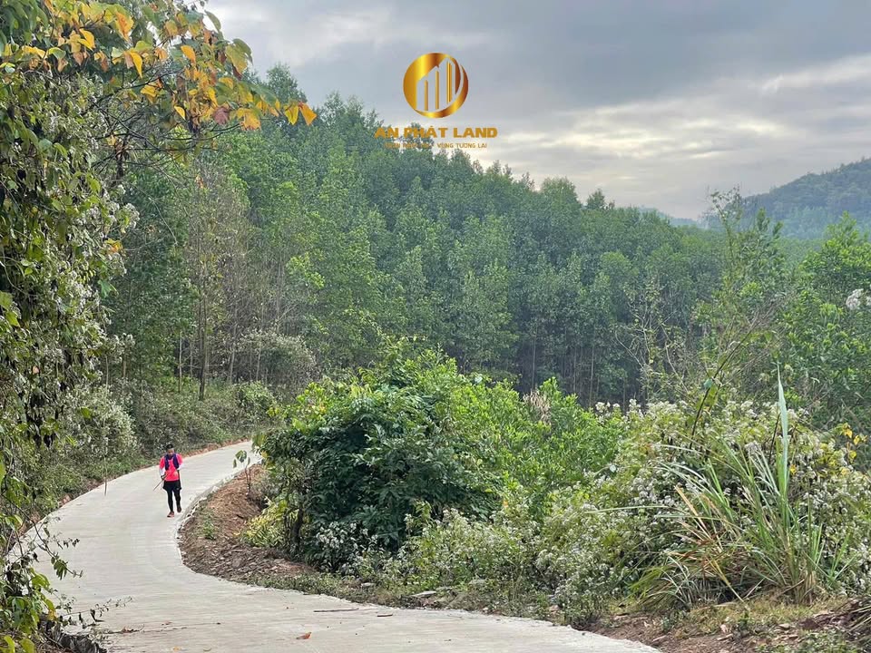 Đất nền homestay Cúc Phương Nho Quan 2493m² giá 6 tỷ - Cơ hội đầu tư hấp dẫn!