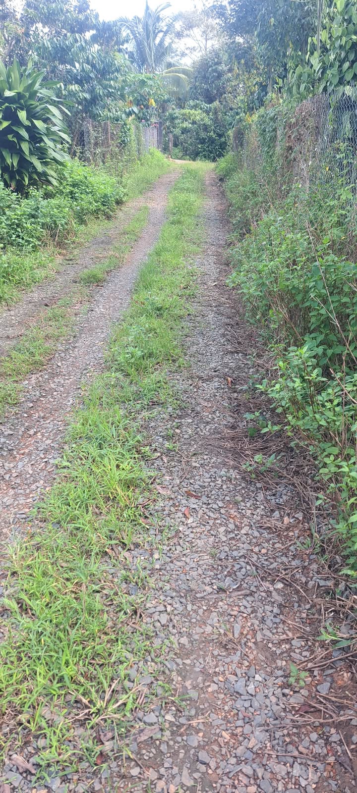 Đất nền 150m² Tân Lạc Bảo Lâm giá 450 triệu - Cơ hội đầu tư tuyệt vời!