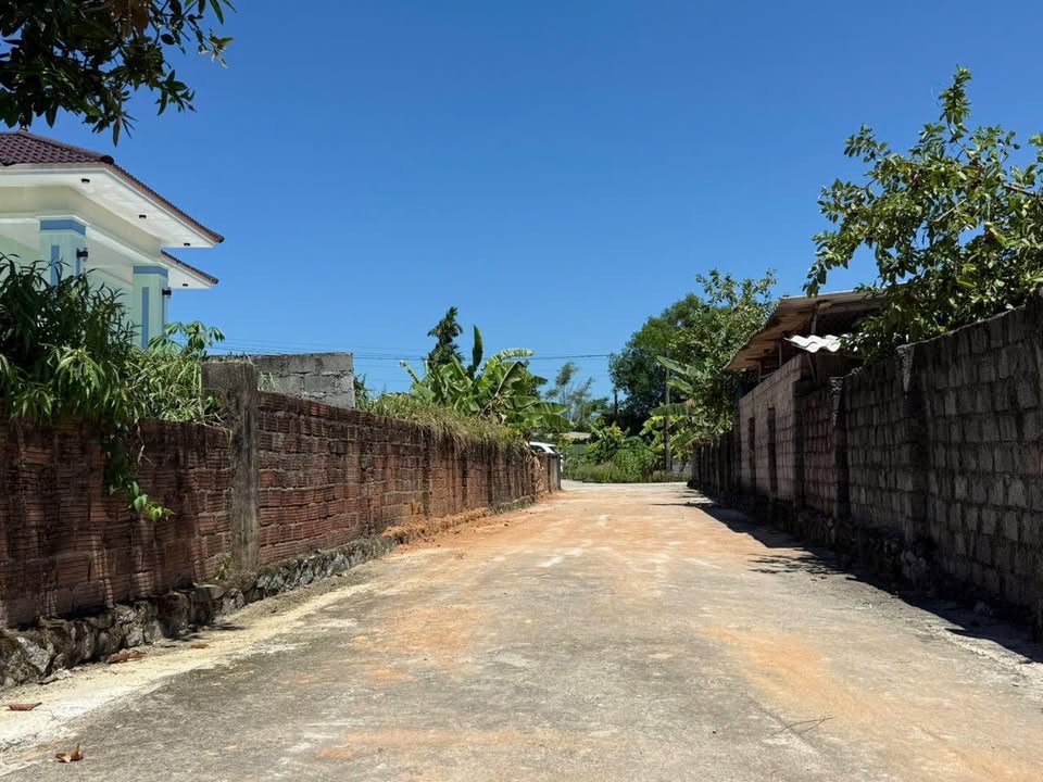 Đất thổ cư Thạch Thắng 163.6m² giá 700 triệu - Đường bê tông rộng rãi!