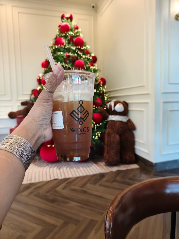 Đất nền Lộc Phú 250m² giá 100 triệu - Cơ hội đầu tư hấp dẫn!