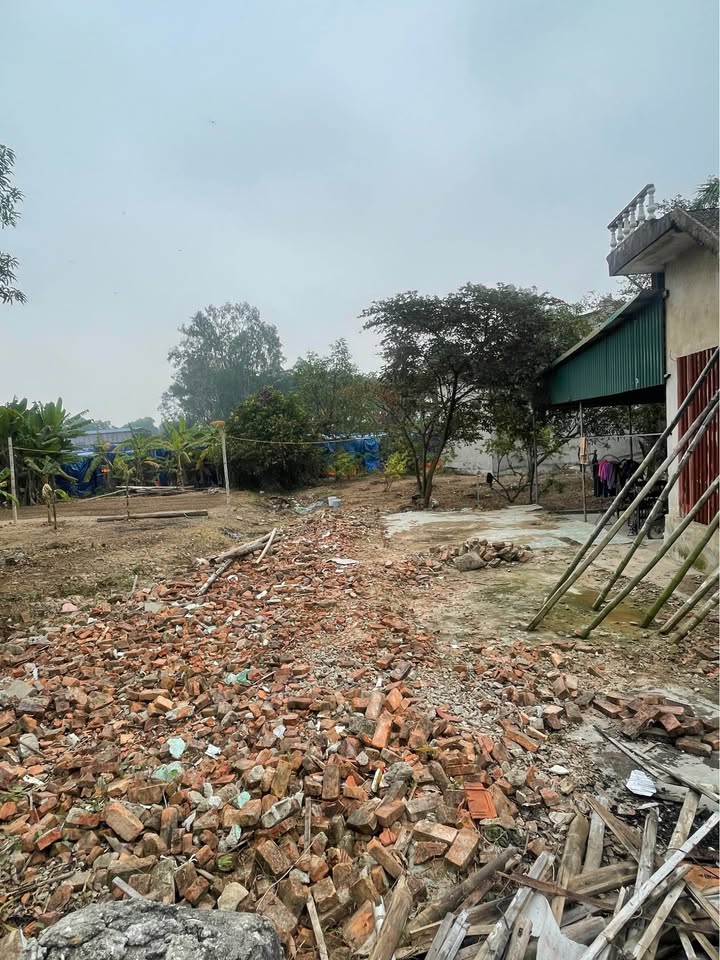 Đất nền Quảng Hưng, Thanh Hóa 80m² chỉ 1 tỷ - Vị trí đắc địa gần trung tâm!