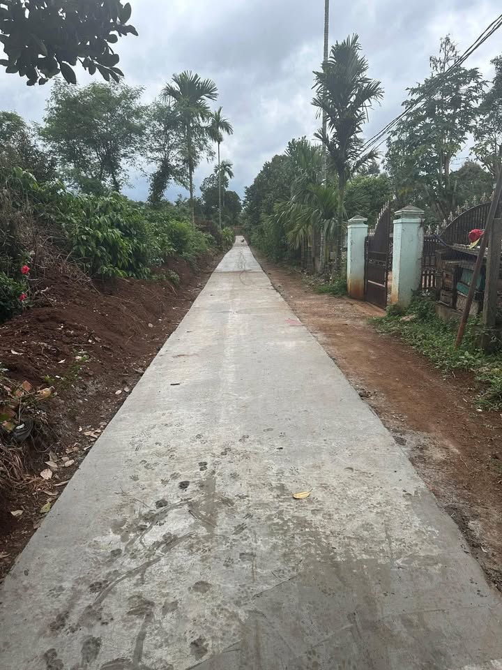 Đất thổ cư Phú Xuân 500m² giá 40 triệu - Đầu tư sinh lời ngay!