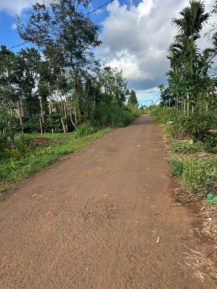 Đất nền Phú Xuân 800m² giá chỉ 8 tỷ - Tiềm năng phát triển lớn!