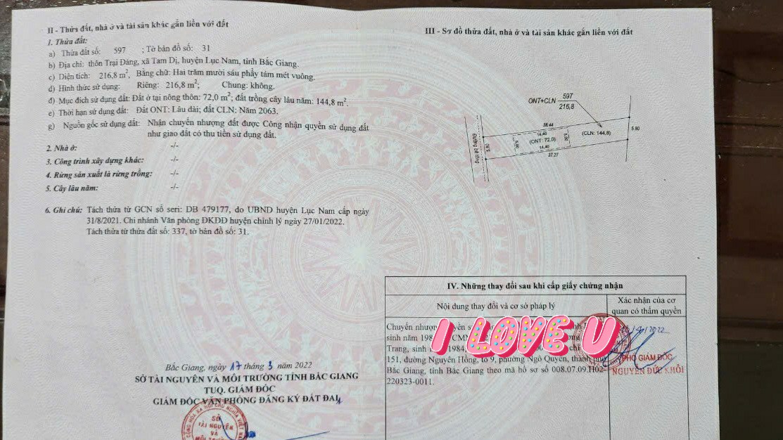 Đất ở lâu dài 216.8m² tại Tam Dị, Lục Nam giá chỉ 4XX triệu - Cơ hội đầu tư hấp dẫn!