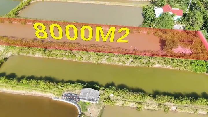 Đất nông nghiệp 8000m² mặt tiền kênh tại Trà Vinh - Giá chỉ 800 triệu