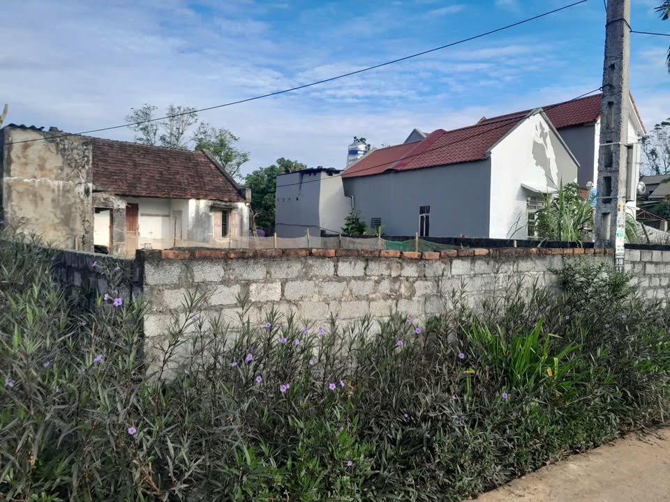 Đất ở xã Cẩm Tâm, Cẩm Thủy 800m² giá 465 triệu - Chính chủ, sổ đỏ ngay!