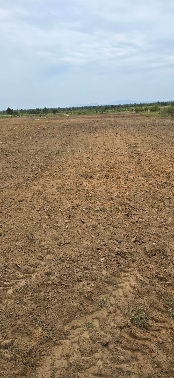 Đất cho thuê 33ha tại Ea Rốk, Đắk Lắk - Giá chỉ 7 triệu/ha/năm!