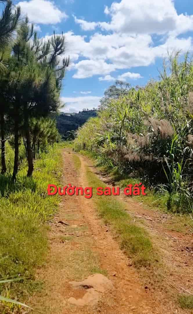 Lô đất 540m² Hồ Ngọc, TP. Bảo Lộc | View đẹp, mặt tiền đường lớn