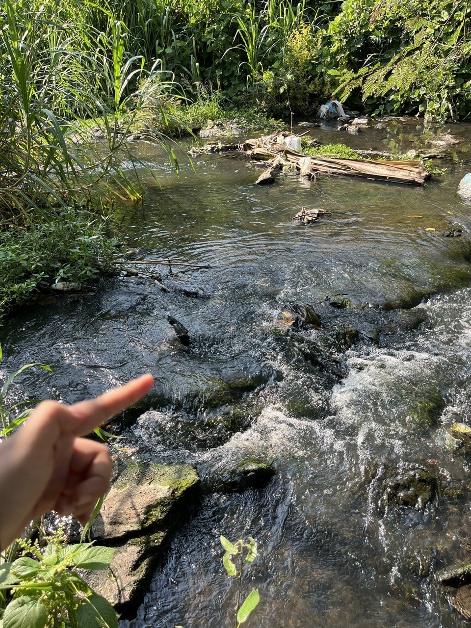 Đất thổ cư Long Thành 265,4m² giá 750 triệu - Cơ hội đầu tư cực hấp dẫn!