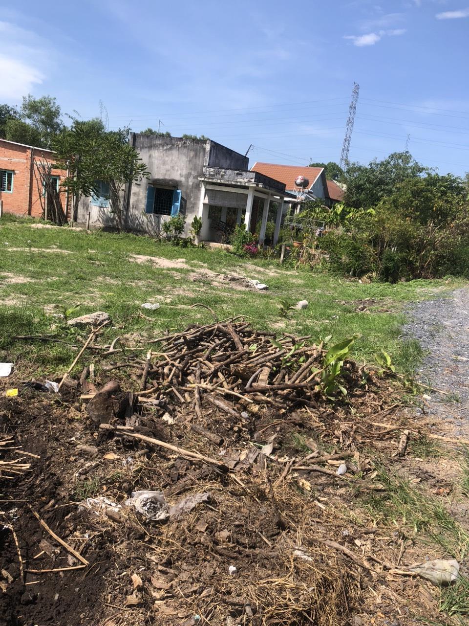 Nhà mặt tiền Phan Văn Đối, Bà Điểm, Hóc Môn 295m² giá 24.5 tỷ - Đầu tư lý tưởng!