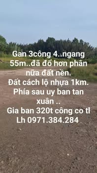 Đất nền Cây Lâu Năm Bảo Thạnh 3350m² giá chỉ 1.075 tỷ - Cơ hội đầu tư tuyệt vời!