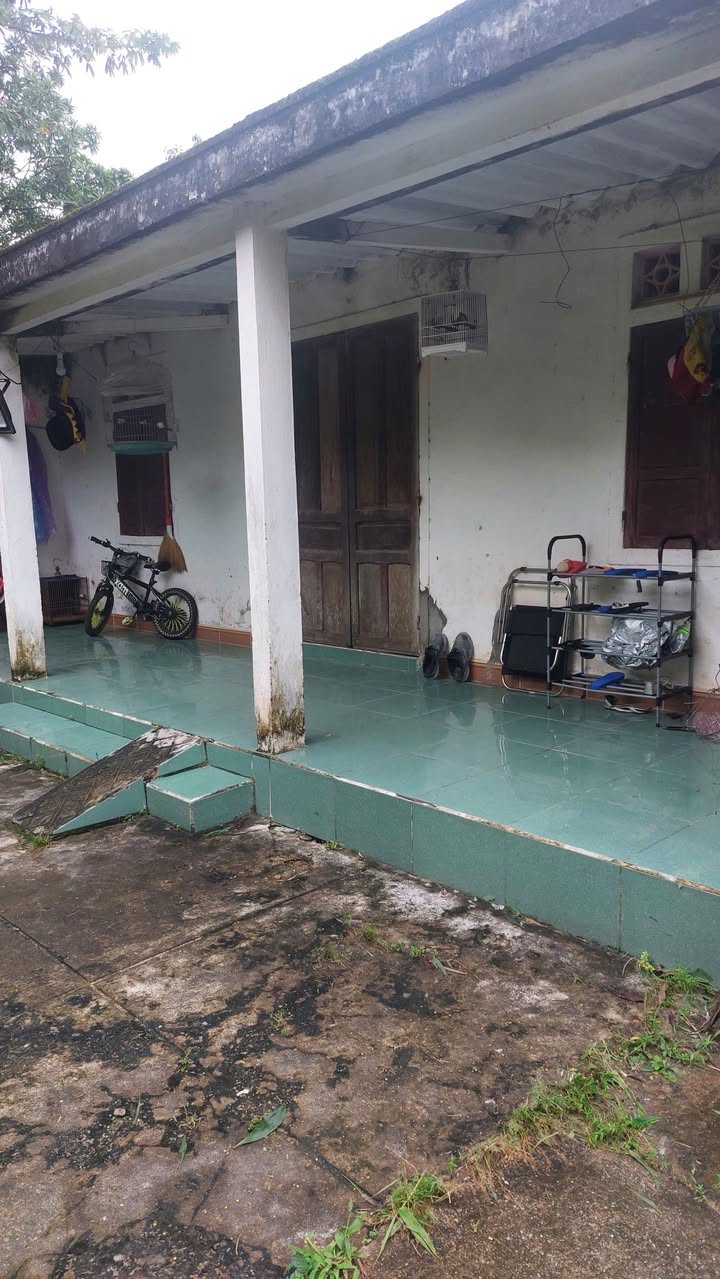 Farm đất vườn 1000m² tại Đồng Sơn, Đồng Hới - Giá chỉ 2 triệu/tháng!