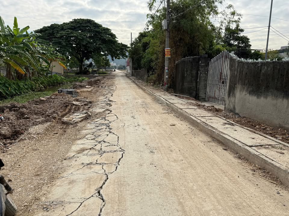 Đất nền An Trường, An Lão, Hải Phòng 100m² - Cơ hội đầu tư sinh lời cao!