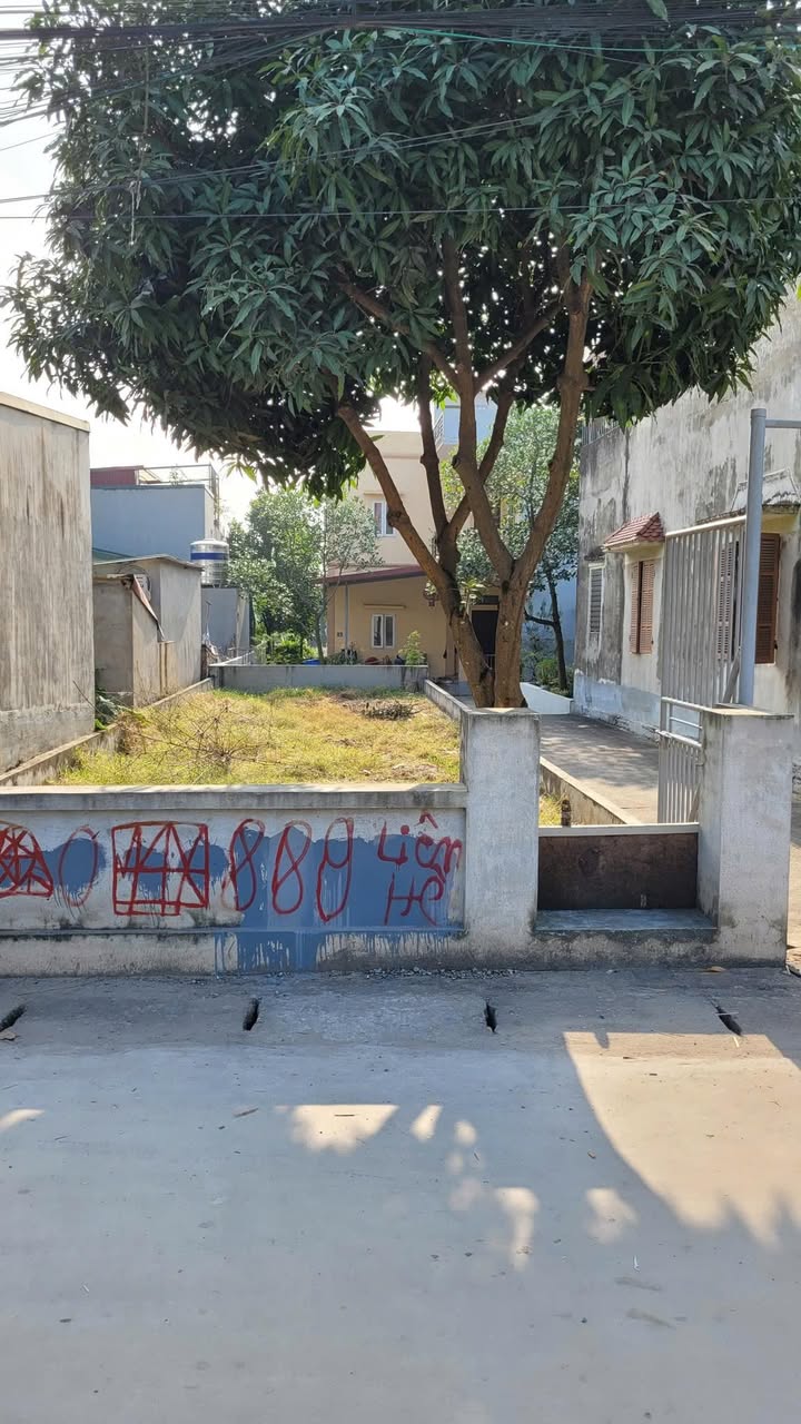 Lô góc mặt phố Mỹ Ả, Đông Mỹ 100m² giá 9 tỷ - Đầu tư sinh lời cao!