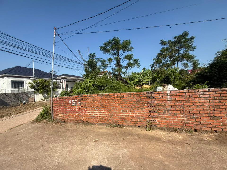 Lô góc 2 mặt tiền Đông Phú Lục Nam 125m² chỉ 900 triệu - Kinh doanh đắc địa!