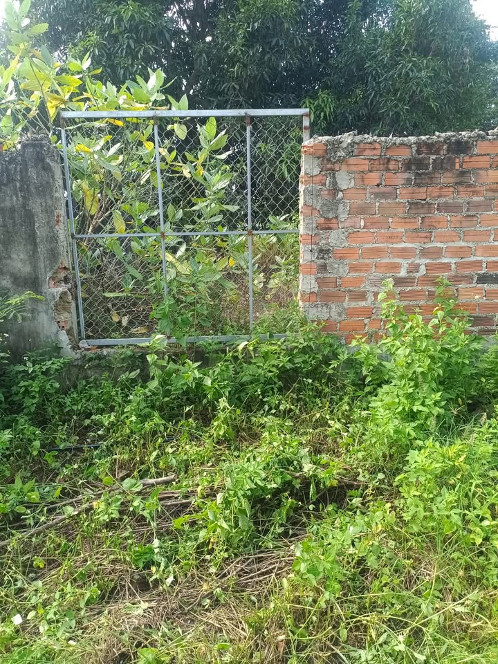 Đất nền Cam Phúc Bắc 207.9m² giá chỉ 1 tỷ - Đầu tư sinh lời ngay!