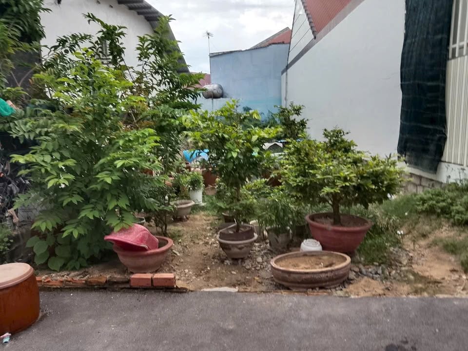 Đất thổ cư Cam Linh 131m² giá 2.2 tỷ - Vị trí thuận lợi gần chợ mới!