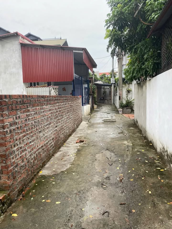 Đất nền Cổ Loa Đông Anh 118.5m² giá thỏa thuận - Cơ hội đầu tư hấp dẫn!