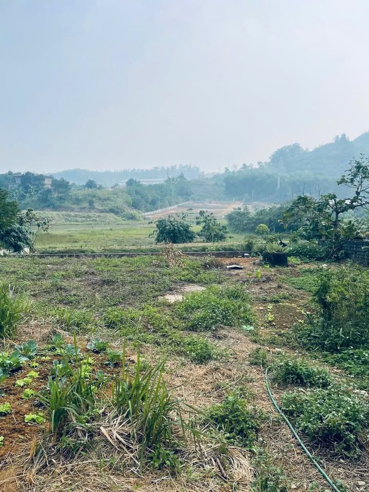 Đất Farm Yên Bài Ba Vì 1700m² giá 8 tỷ - View núi Tản Viên tuyệt đẹp!