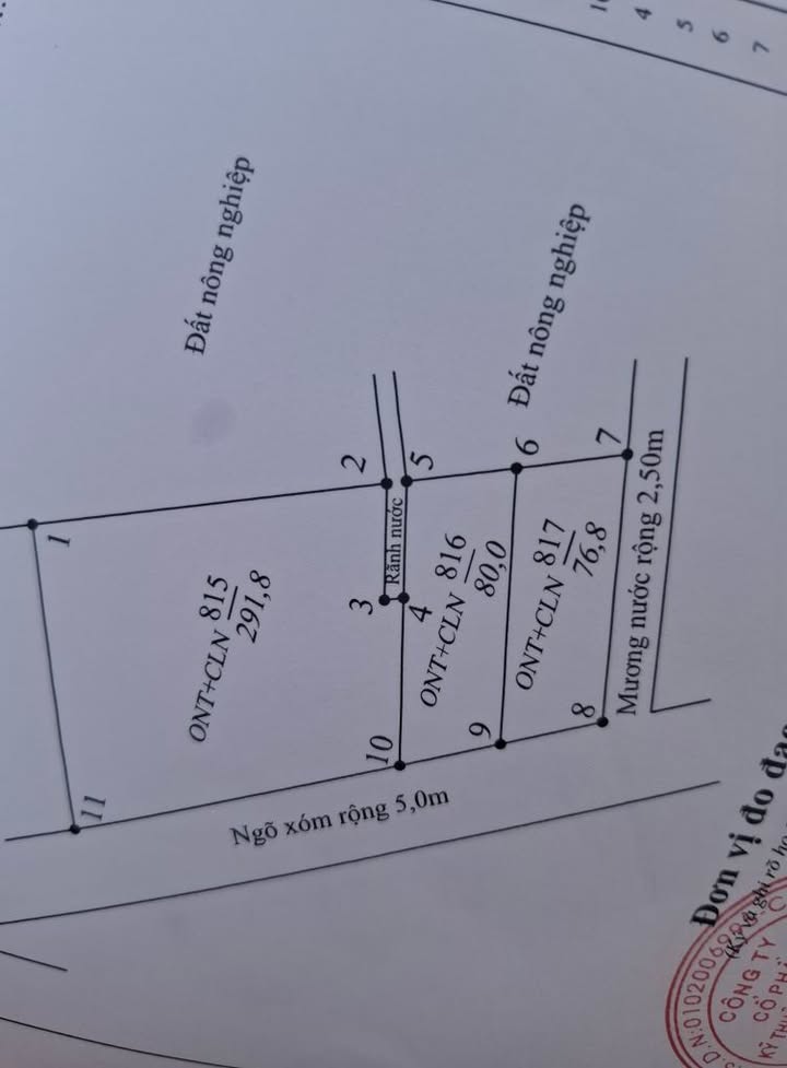 Đất nền Tân Hưng Vĩnh Bảo 550m² giá 1.1 tỷ - Thích hợp trồng cây ăn quả!