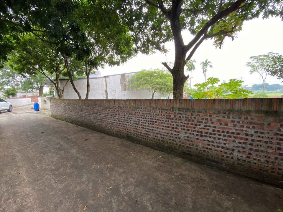 Đất nền Cao Xá Tân Yên 130m² giá 800 triệu - Sở hữu ngay vị trí đắc địa!