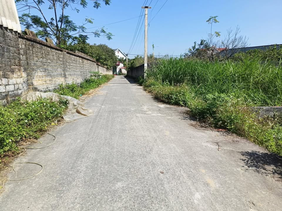 Đất thổ cư Tân Sơn, Hùng Sơn, 120m² giá 900 triệu - Pháp lý rõ ràng, không lỗi phong thủy!