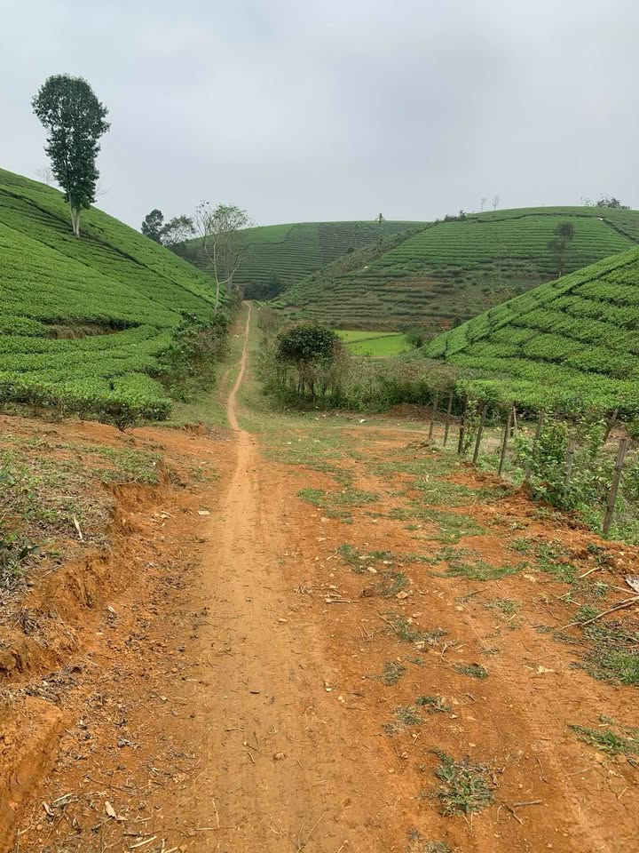 Đất nền du lịch Long Cốc, Tân Sơn 2400m² giá chỉ 400 triệu - Đầu tư sinh lời ngay!