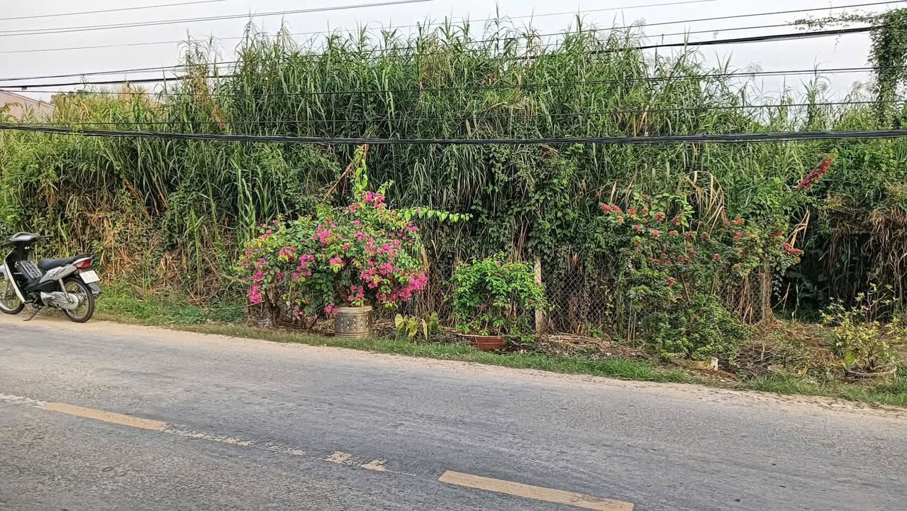 Đất thổ cư 721m² Tỉnh Lộ 923, Cần Thơ giá 3 tỷ - Tiềm năng kinh doanh tuyệt vời!