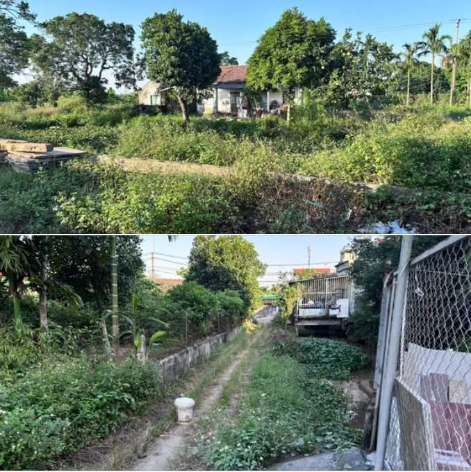 Đất nền Hải Phong 431m² giá chỉ 1.25 tỷ - Gần cầu Đen, giao thông thuận lợi!