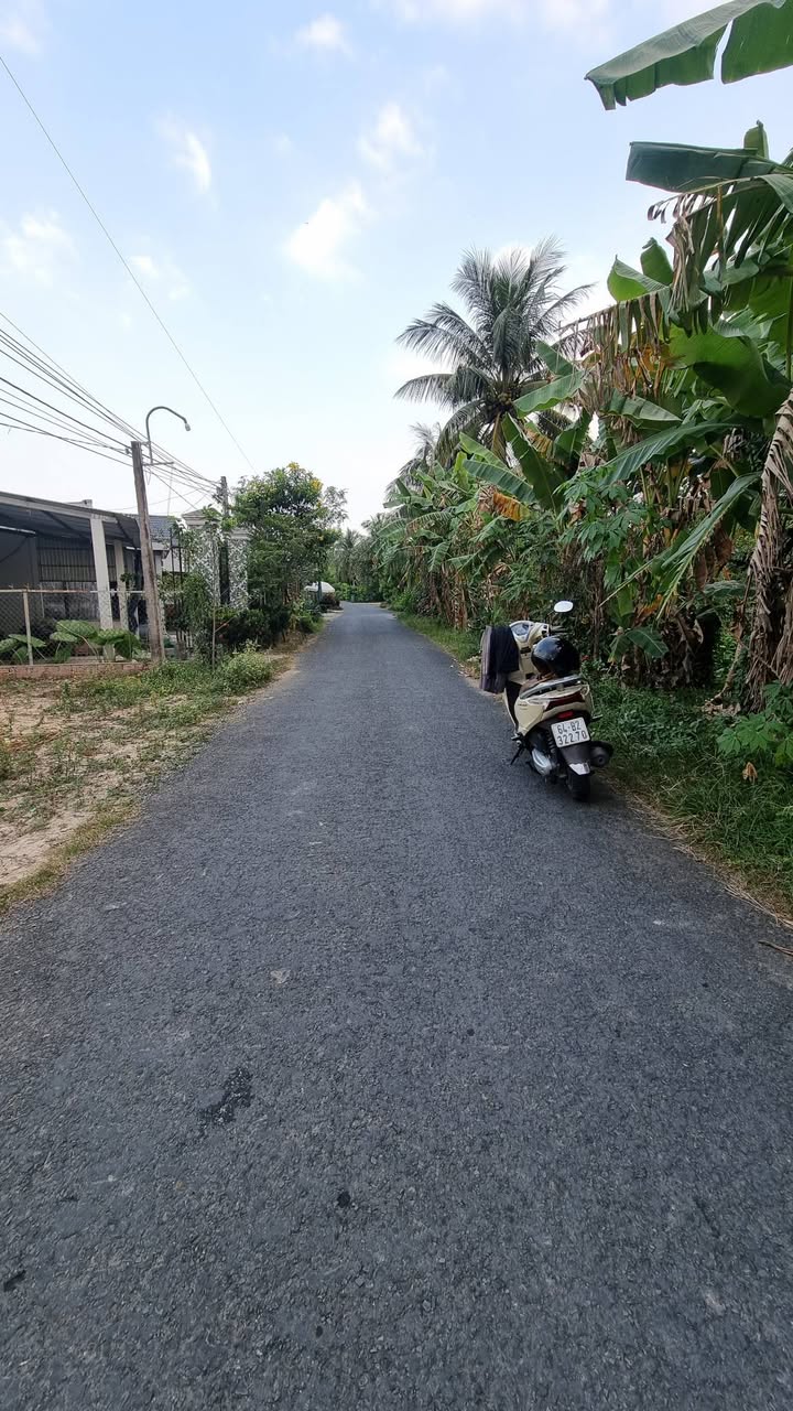 Đất đẹp Tân Hạnh 228.7m² giá 1 tỷ - Cơ hội đầu tư sinh lời!