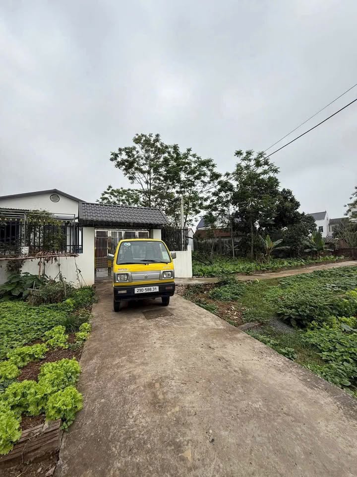 Đất thổ cư 60m² Tràng Cát, xã Thanh Oai giá chỉ 1 tỷ - Ô tô đỗ cửa!